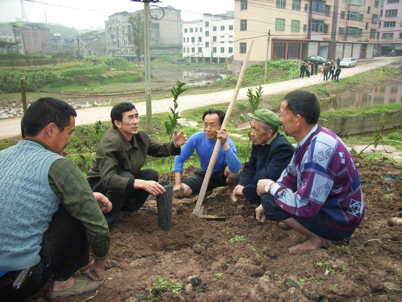 8.江津区慈云镇移民向道现传授村民种植技术.jpg