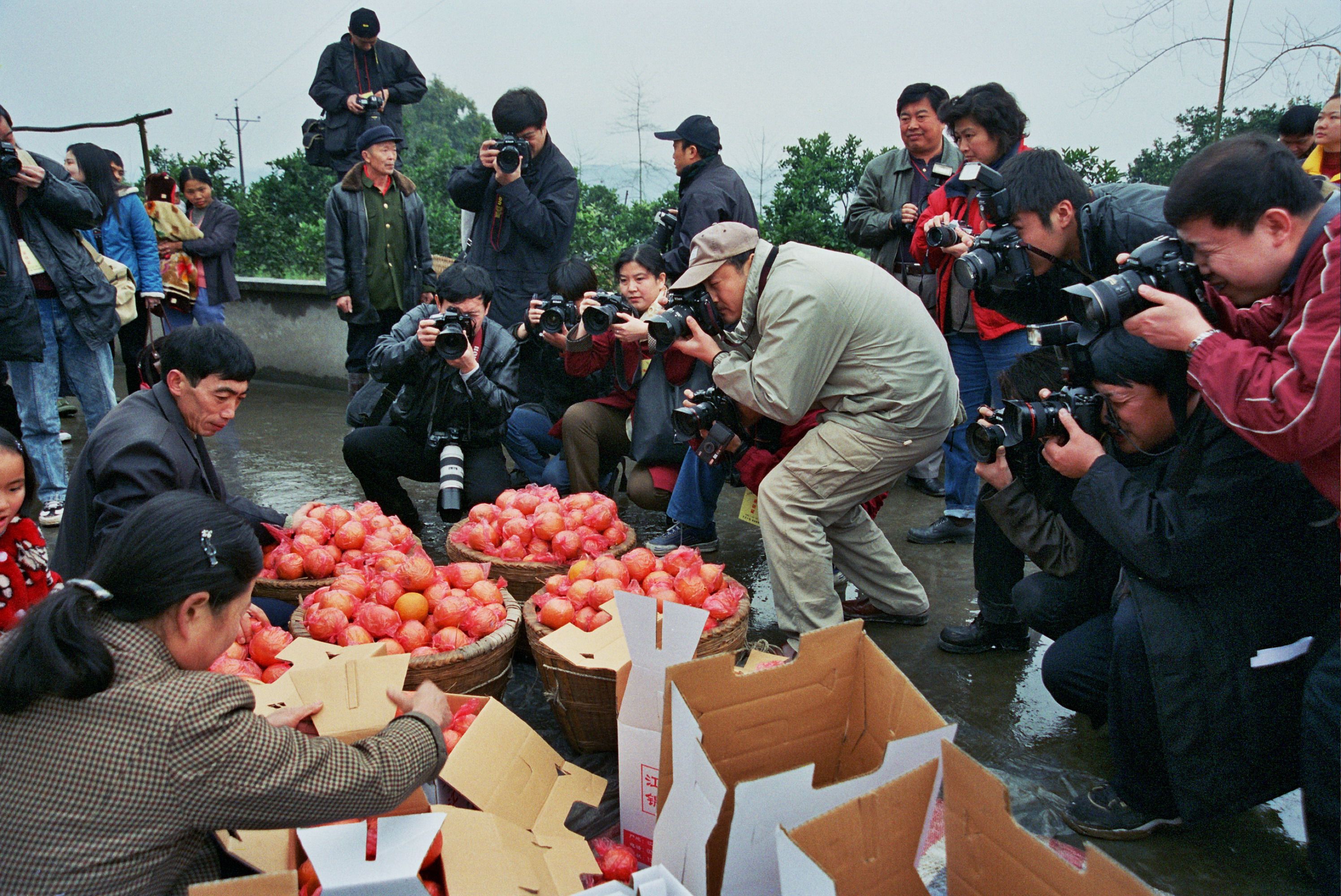 10.媒体聚焦江津区移民柑橘种植大户.jpg