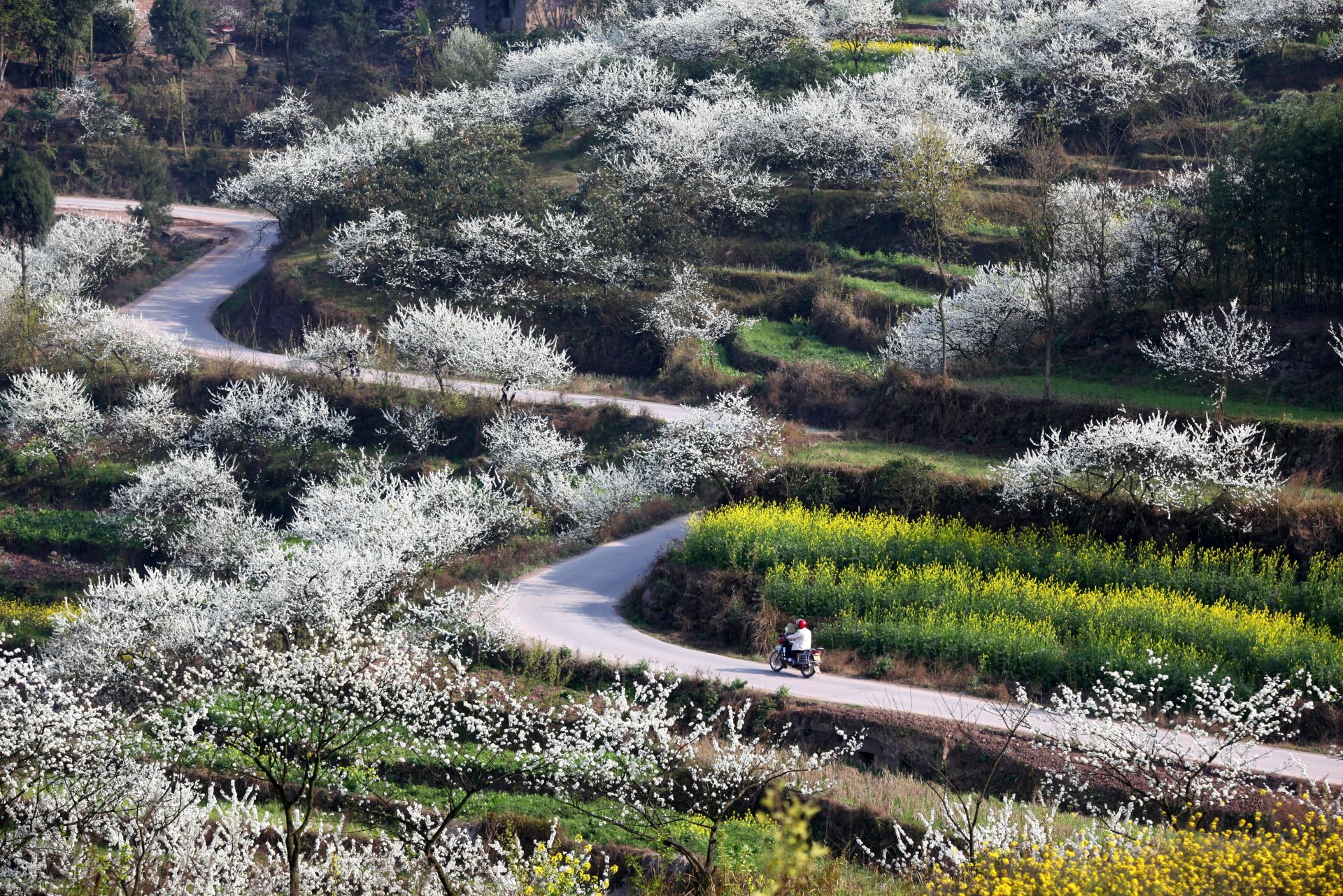 7.丰都县乡村公路.jpg