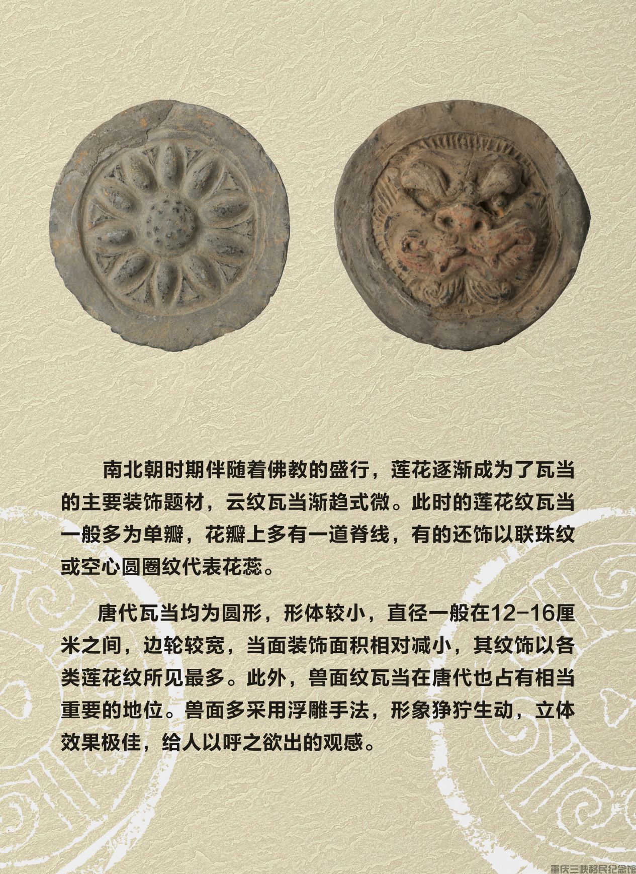 image4.jpg