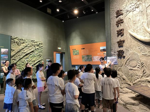 图片14.png