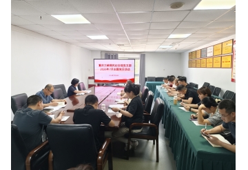 深学细悟强党性 实干担当践初心——重庆三峡移民纪念馆党支部开展7月主题党日活动