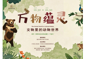 【展览预告】博物馆里有什么？动物世界！